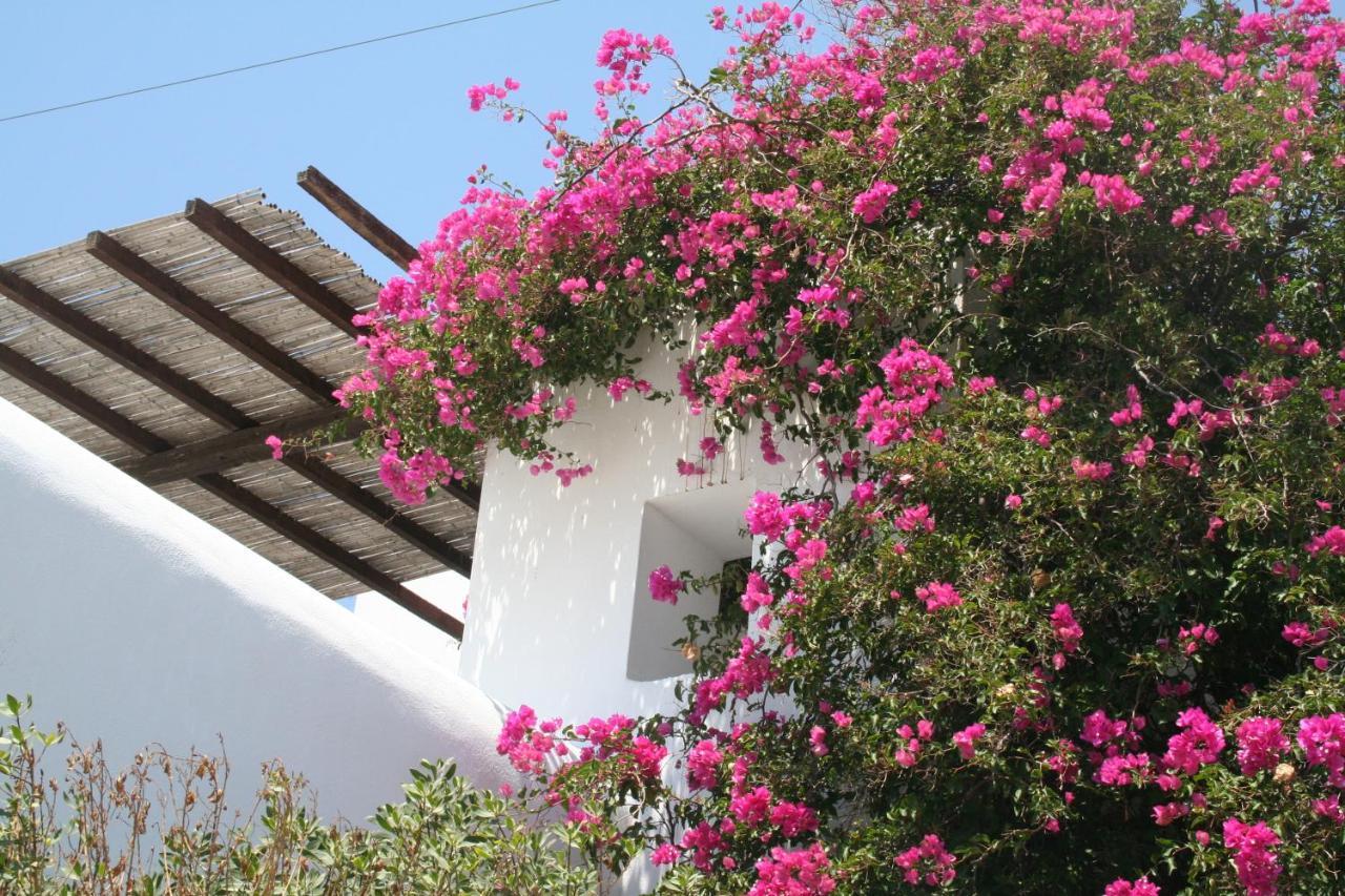 Petra Holiday Village Chora de Ios Exterior foto